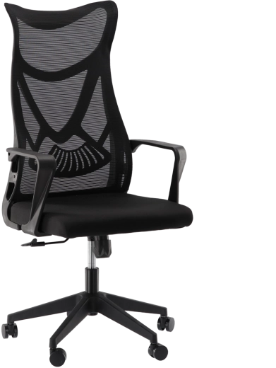 Ergonomická kancelárska stolička MASKINO s priedušnou sieťovinou