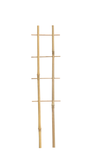 Bambusová dvojitá opora pre rastliny 37 cm