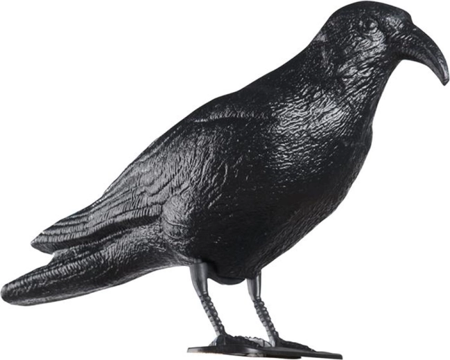 Plastový odpudzovač holubov havran