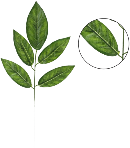 Sada umelých mango vetvičiek, 59 cm, zelené (12 ks)