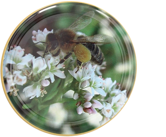 Sada viečok Twist-off 82 mm s motívom včely – 10 ks