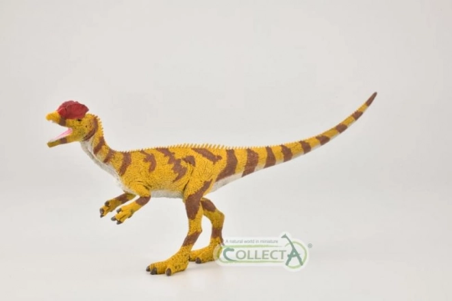 Collecta dilophosaurus figúrka