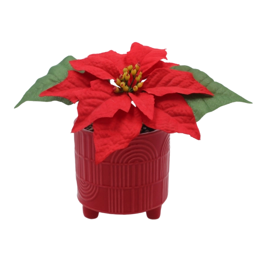 Syntetická vianočná poinsettia v keramickom kvetináči 9 × 17 cm