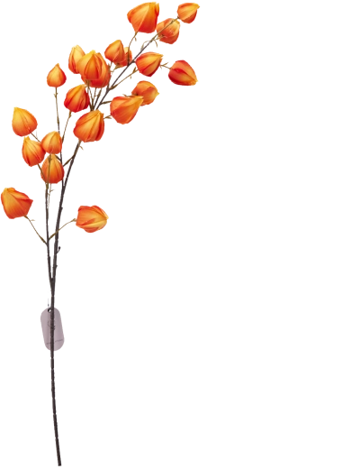 Syntetická dekoratívna vetvička krémová 97 cm