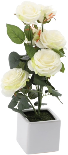 Umelá biela ruža v kvetináči 44 cm
