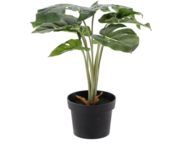 Umelá rastlina 42 cm