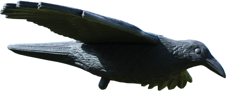 Odstrašovač vtákov krkavec 80 × 44 × 12 cm