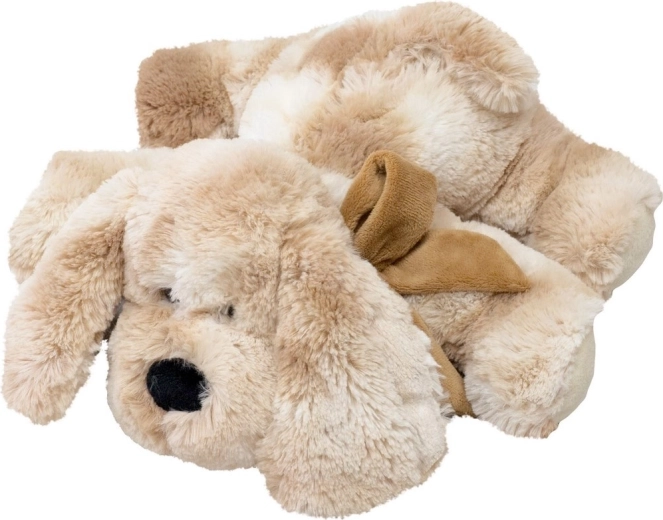 Plyšový pes Roddy 30 cm