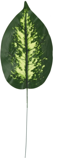 Sada umelých vetvičiek difenbachie, 12 ks