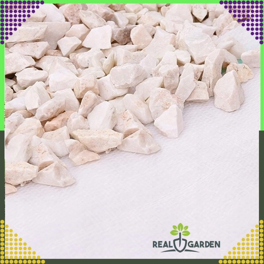 Biela agrotextília 70 g/m² 1,6 × 100 m proti burine + kotvy UV