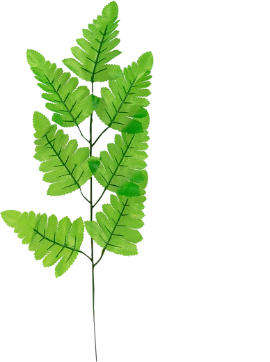 Syntetický list papradia 40 cm na vetvičke