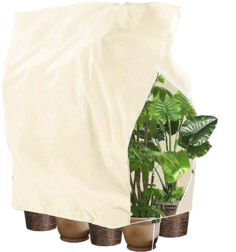 Ochranný zimný kryt na rastliny so sťahovačom 2 × 2,4 m, 80 g, béžový