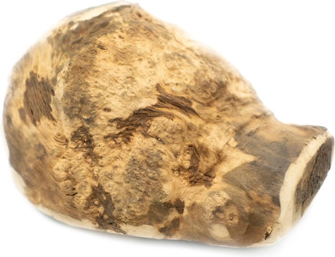 Explorer Dog prírodný žuvací koreň vresu pre psy XL