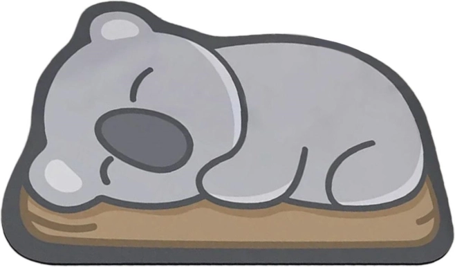 Rýchloschnúca kúpeľňová predložka Koala