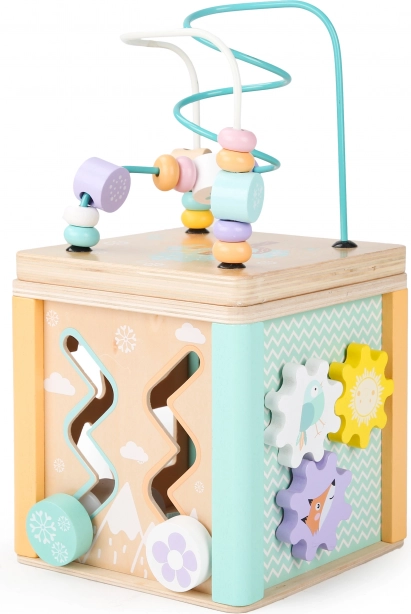 Drevená vzdelávacia kocka Ecotoys