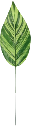 Súprava 12 umelých zelených vetvičiek 48 × 12 cm