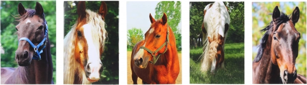 Blok s motívom Koňa MINI 40l, 6x8,5 cm