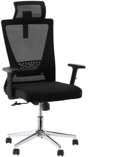 Ergonomická kancelárska stolička Liono s opierkou hlavy a sieťovaným operadlom