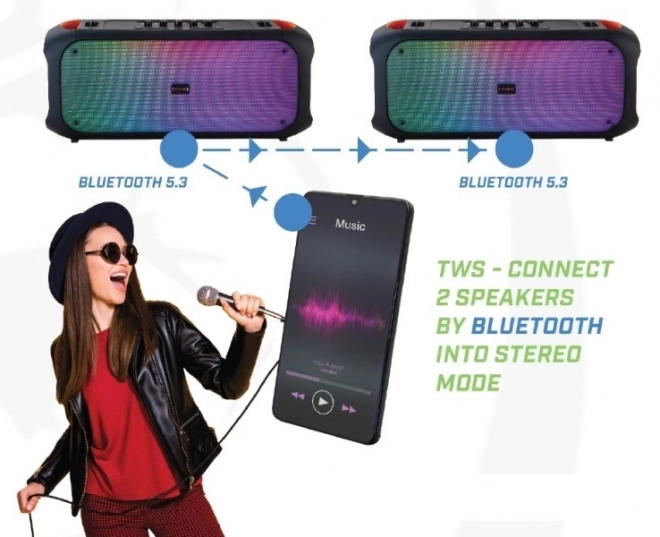 Bluetooth reproduktor s FM a USB SoundVox 650