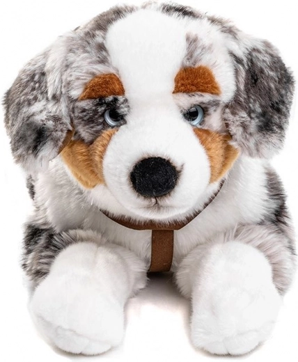 Postroje pre viac zábavy