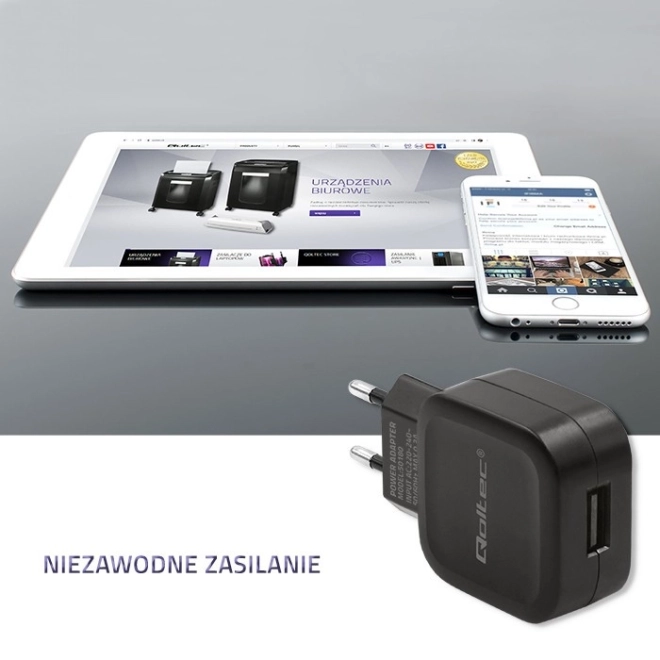 Sieťová nabíjačka USB 12W Qoltec