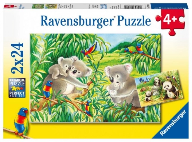 Puzzle Koaly a pandy