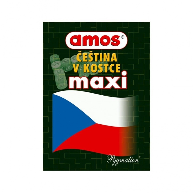 Čeština v kostce maxi