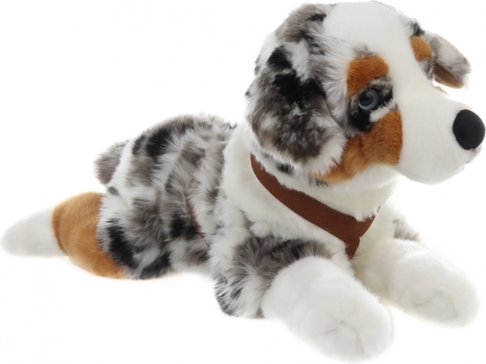 Realistický vzhľad austrálskeho ovčiaka