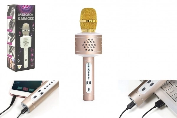 Strieborný Bluetooth karaoke mikrofón – Čierna