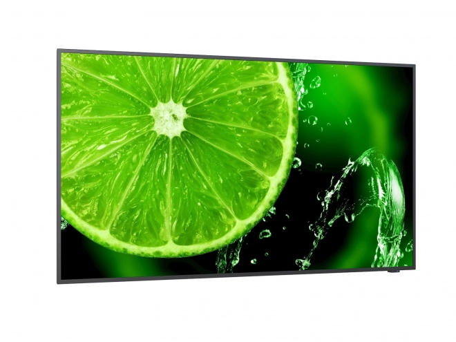 Multimedia monitor NEC MultiSync E328 32''