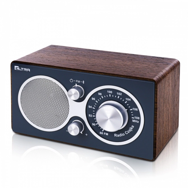 Prenosné rádio s Bluetooth