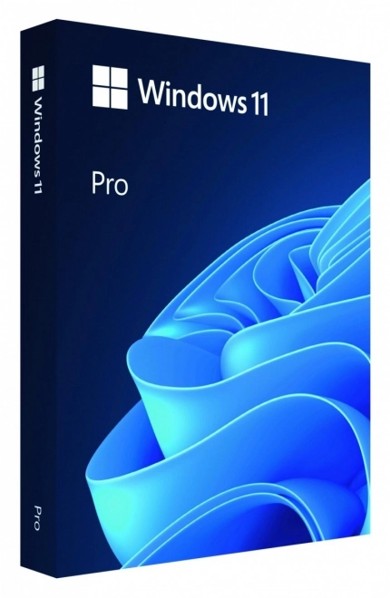 Windows 11 Pro USB Flash Disk