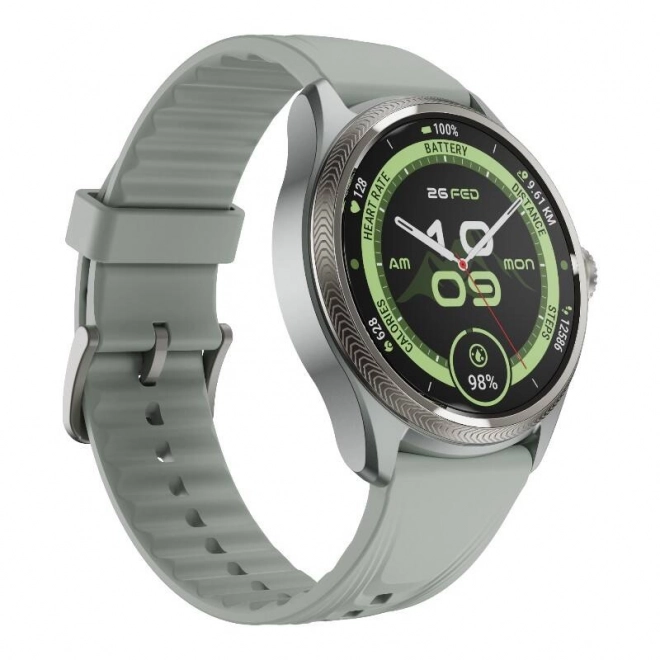 Smart hodinky Mobvoi TicWatch Pro 5 Enduro sivé