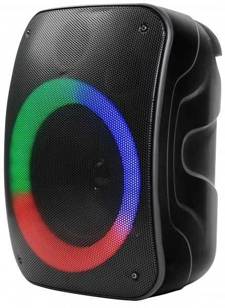Prenosný Bluetooth reproduktor Stage 300
