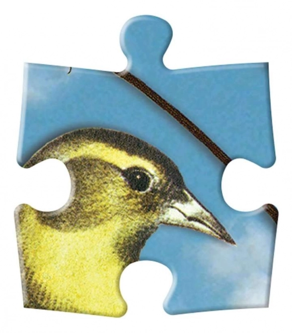 Obojstranné puzzle Christian Lacroix: Ptačia symfónia 250 dielikov