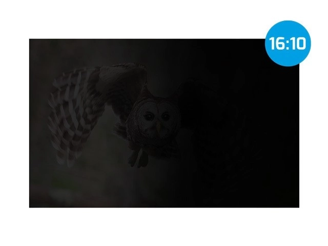 Ochranný filter osobných údajov Natec Owl 16 palcov 16:10