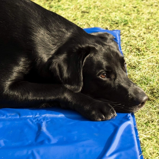 Skladacia, ľahká a cestovná