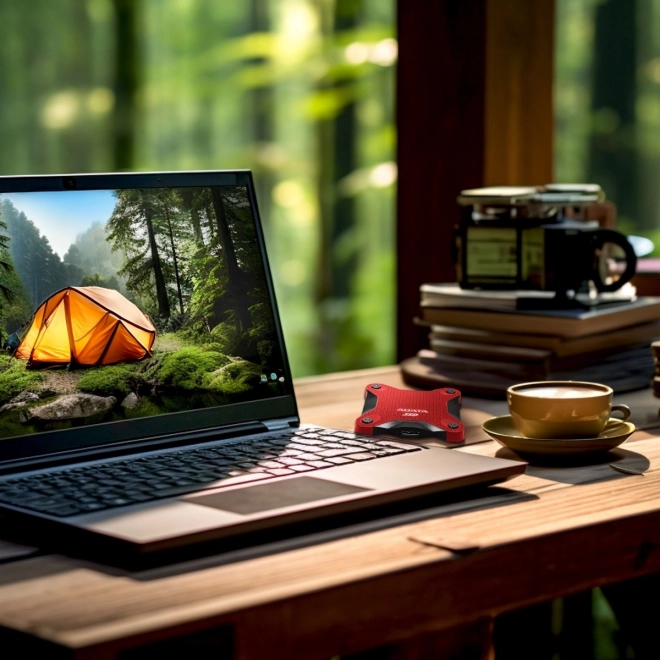 Externý SSD disk SD620 1TB červený