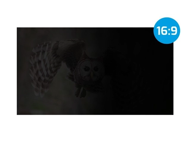 Filtr ochraný Owl 21.5 palca