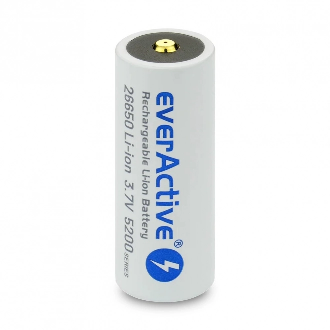 Akumulátor everActive s micro USB 5200 mAh