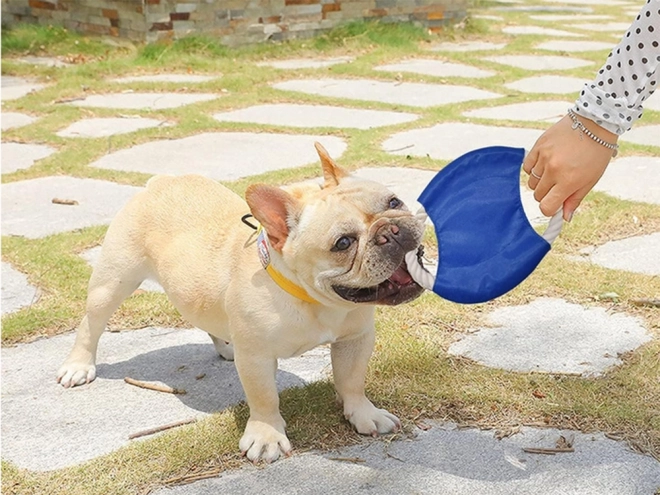 Hračka pre psa frisbee disk