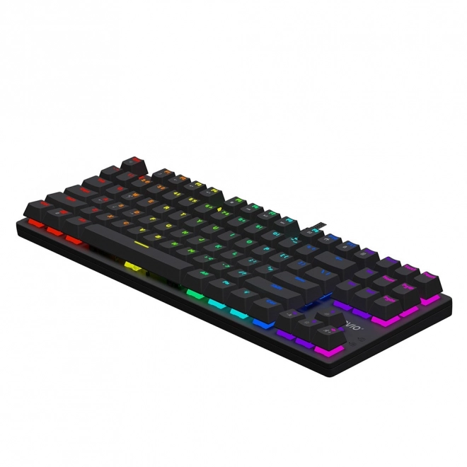 Mechanická klávesnica RGB Tempest X2