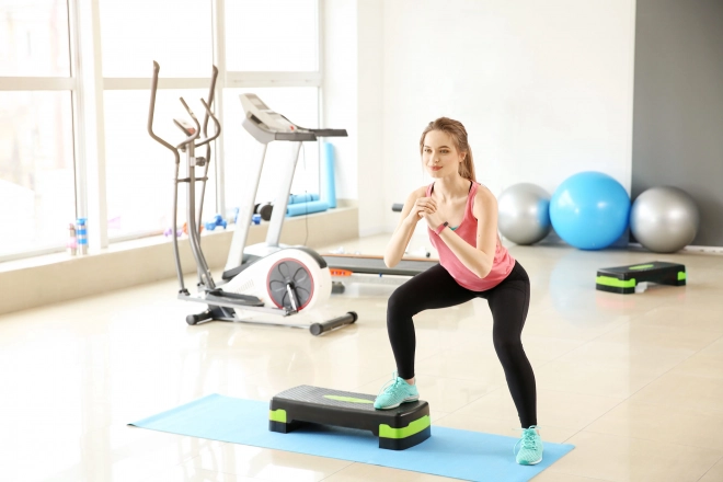 Fitness Stepper ModernHome