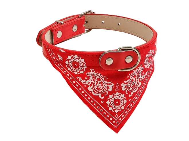 Štýlový bandana vzhľad