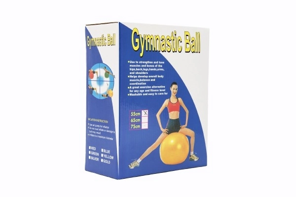 Gymnastická lopta - 55 cm