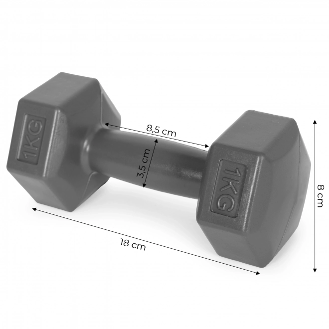 Činky Hex ModernHome 2x1 kg