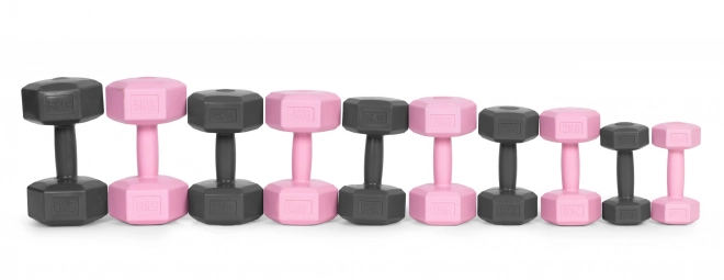 Sada ružových činiek 2x2 kg ModernHome pre fitness