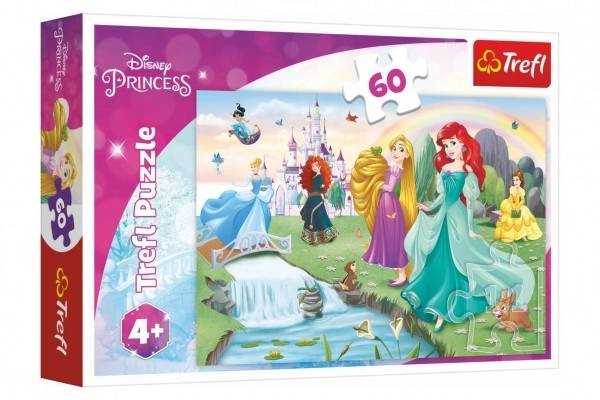 Trefl puzzle s Disney princeznami 60 dielikov