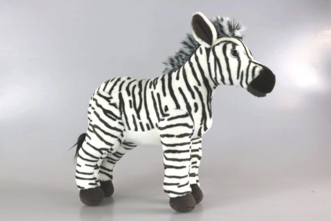 Plyšová zebra 31 cm