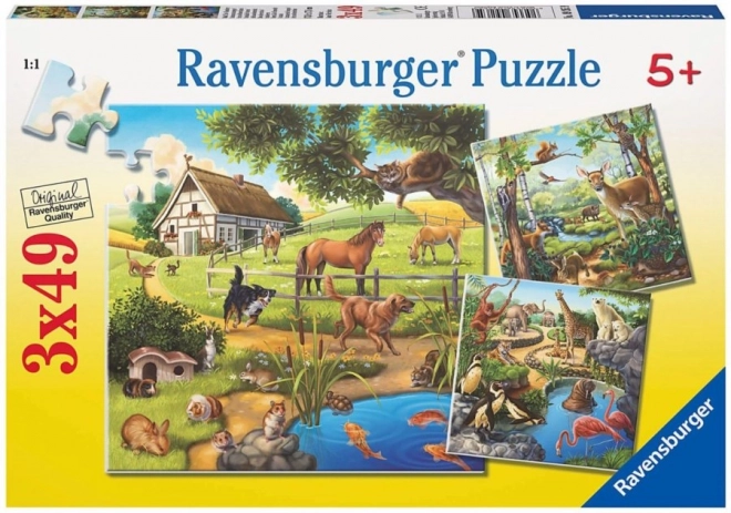 Puzzle RAVENSBURGER zvieratá v lese, v ZOO a na statku 3×49 dielikov